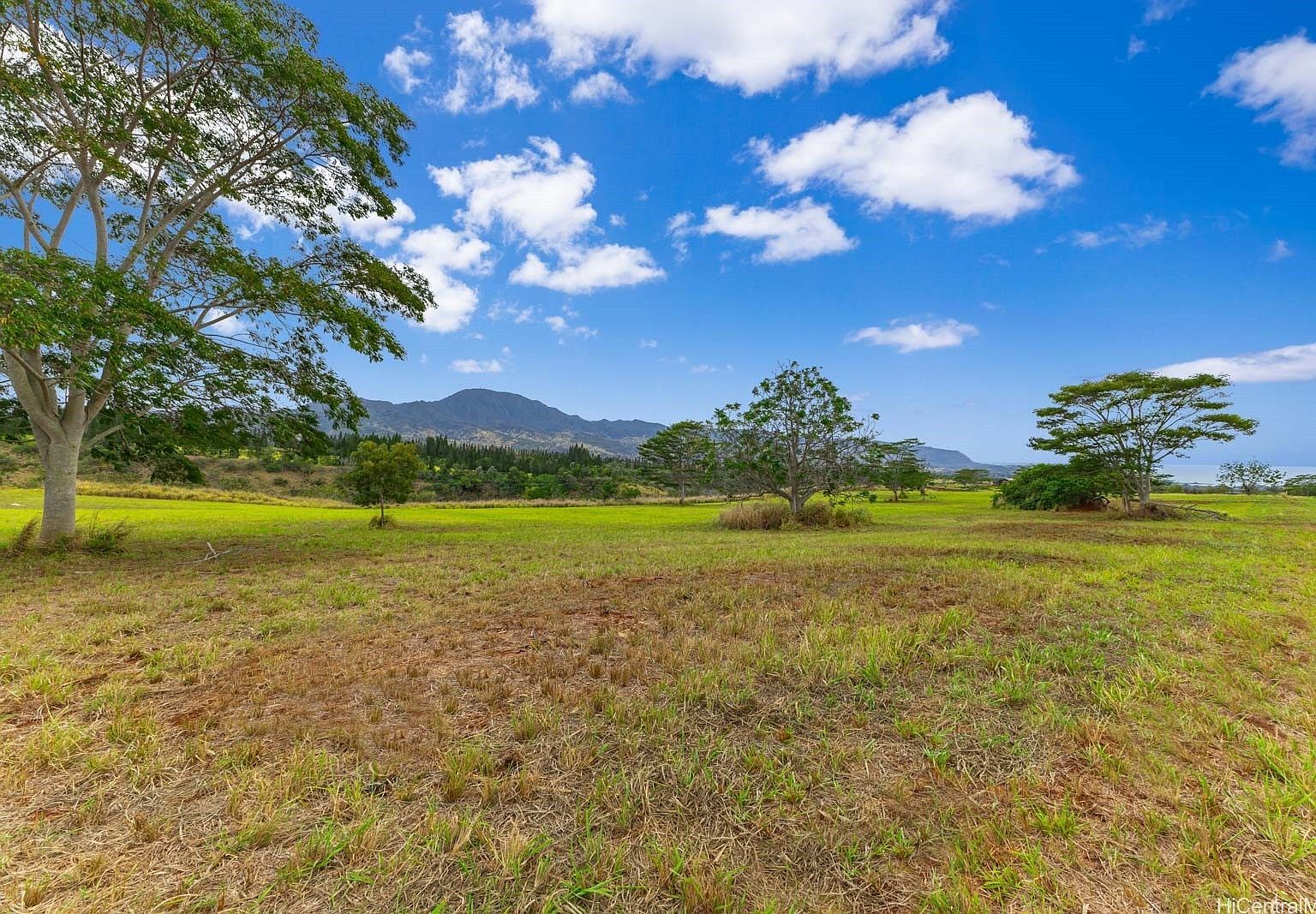 64-486 Kamehameha Hwy #34-F Haleiwa, HI 96712  | Land/Lot