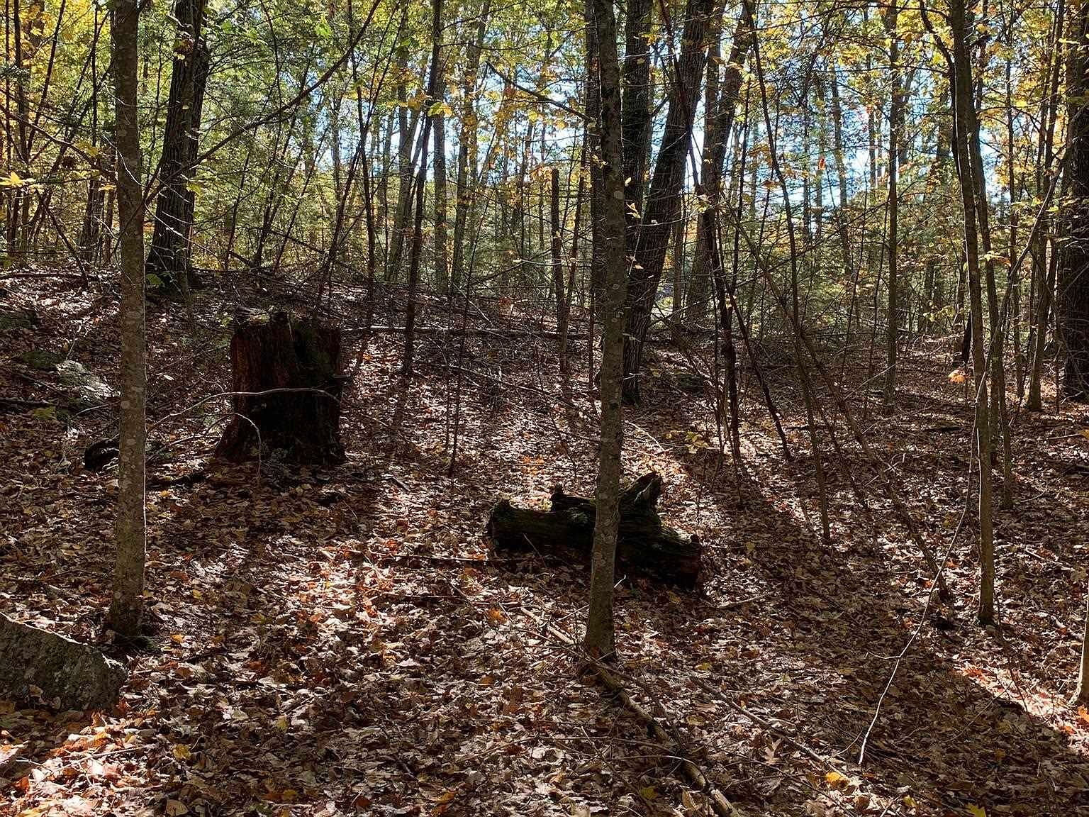 3 Journeys End Rd Francestown, NH 03043 | Land/Lot