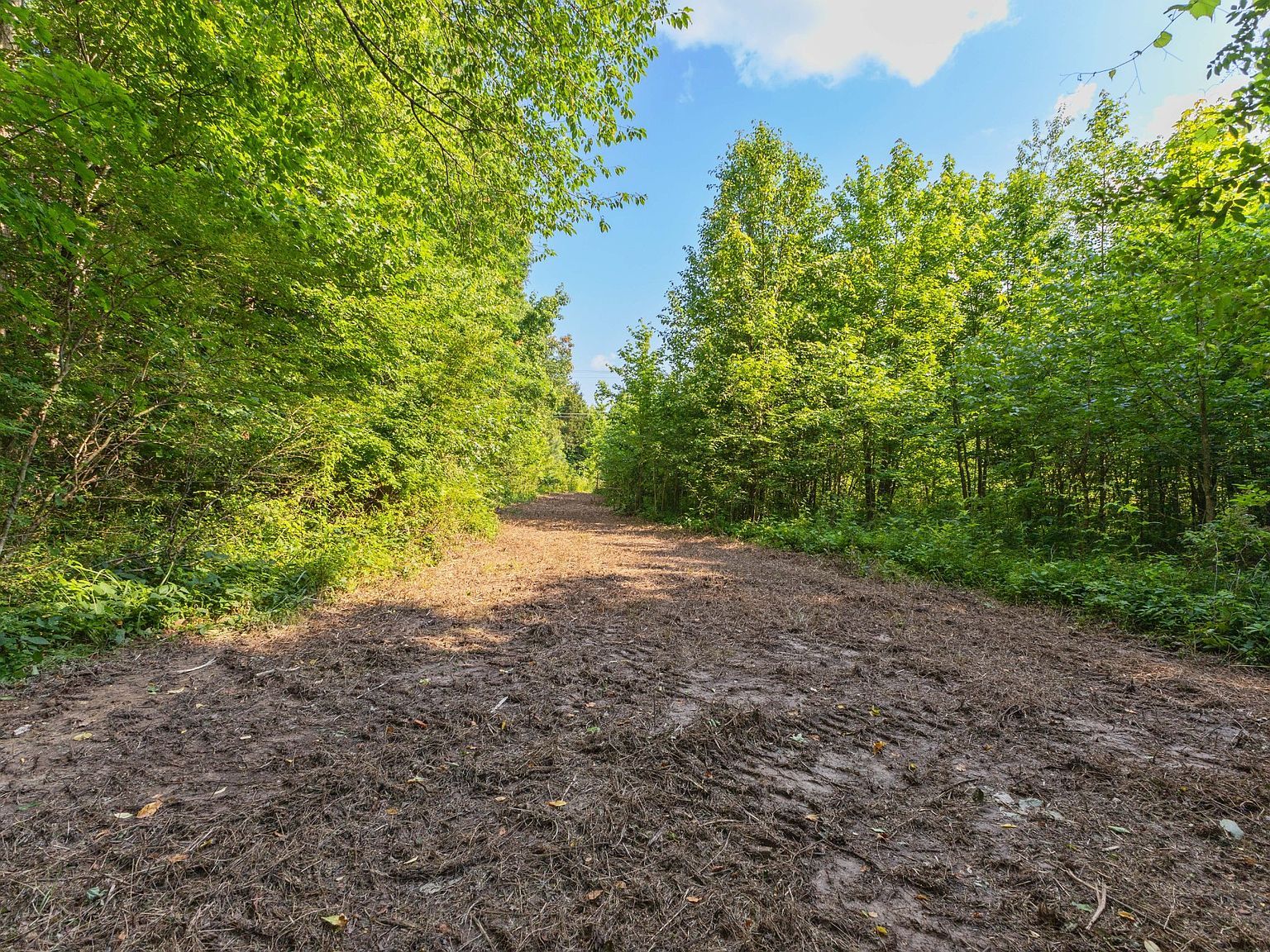 0 Highway 41a Joelton, TN 37080  | Land/Lot