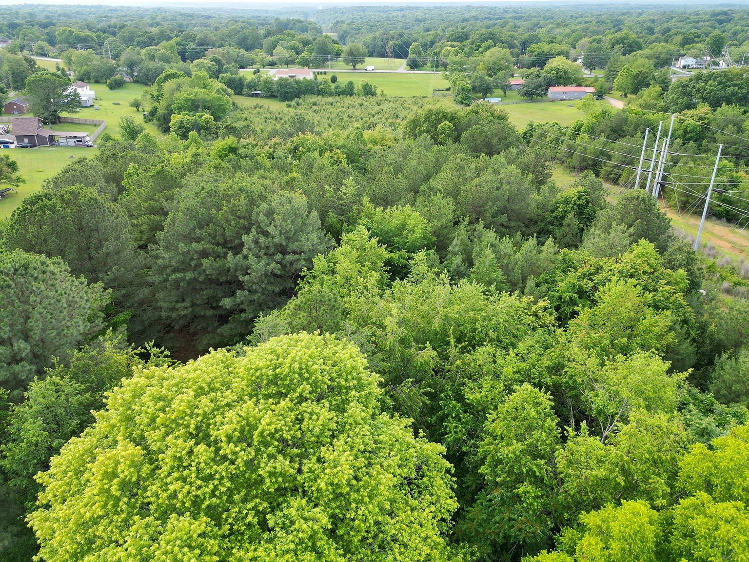 0 Raybon Binkley Rd Ashland City, TN 37015 | Land/Lot