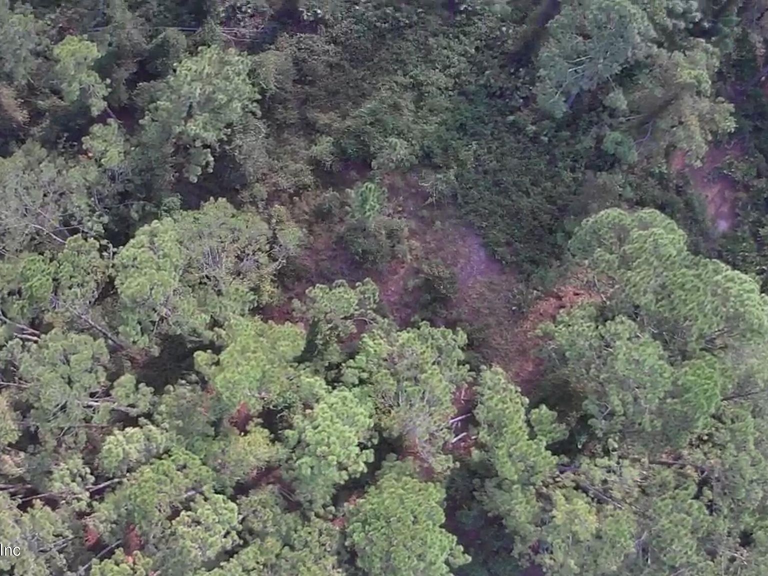 105 Pine Cone Dr Georgetown, FL 32139  | Land/Lot