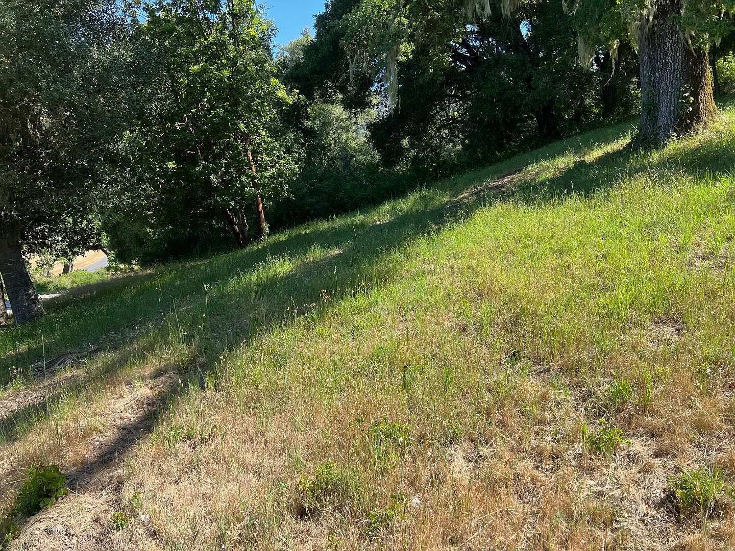 6 Arroyo Sequoia Carmel, CA 93923  | Land/Lot