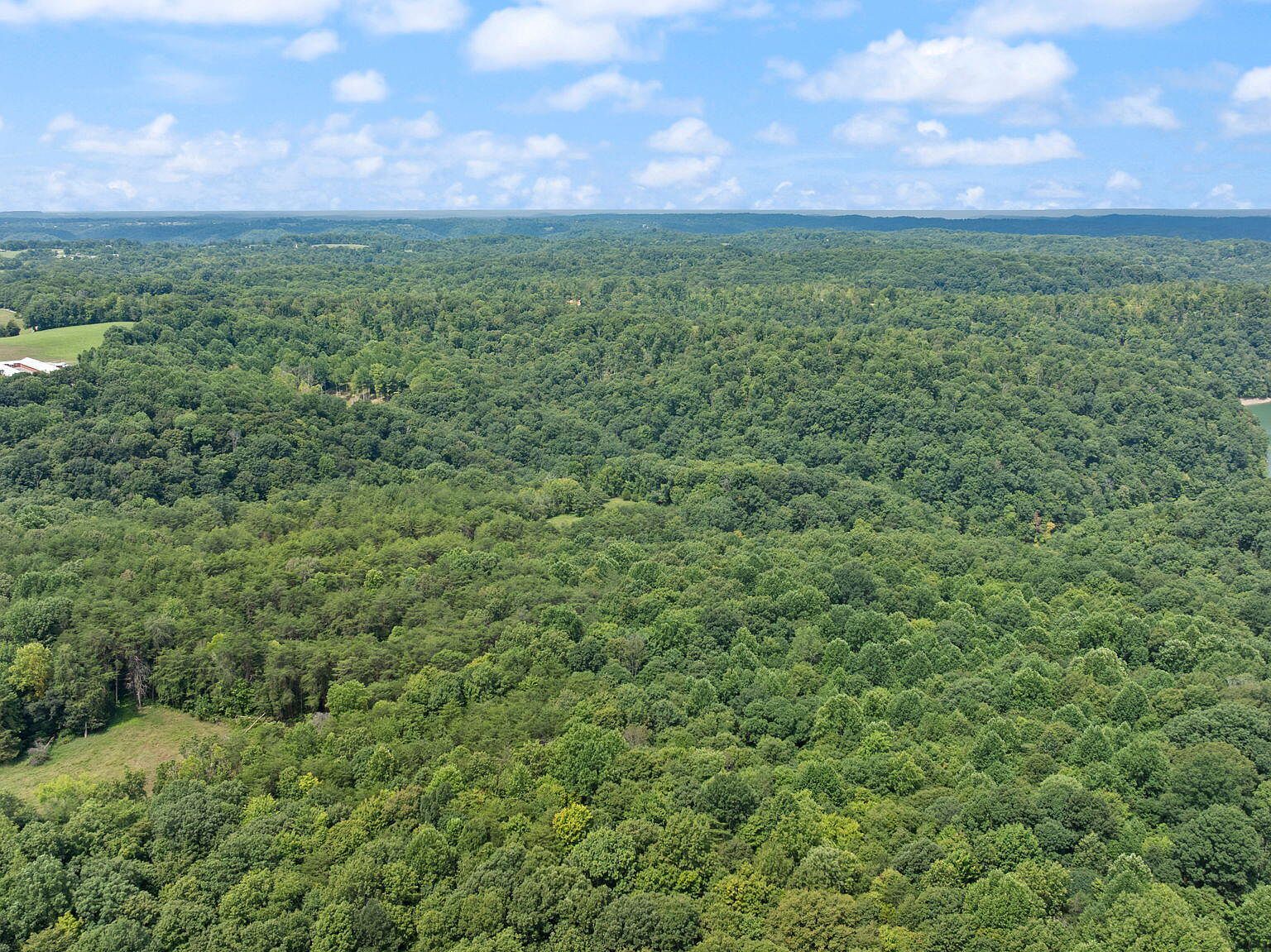 9999 George Garner Rd Monticello, KY 42633 | Land/Lot