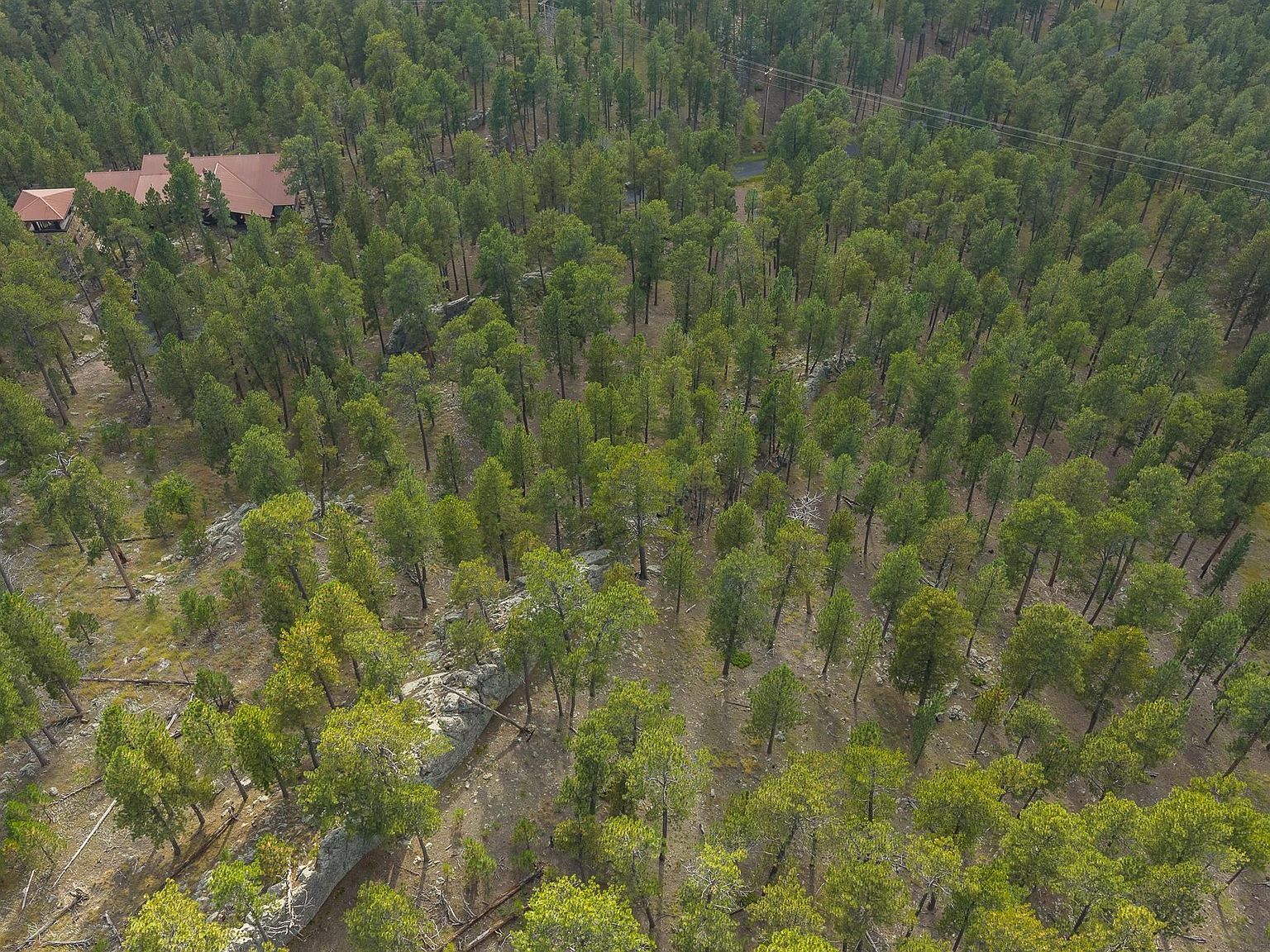 Trackers Trl Keystone, SD 57751 | Land/Lot