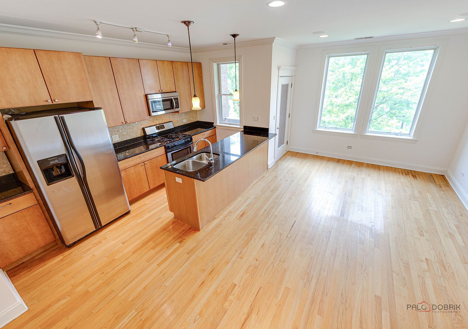 1529 N Artesian Ave APT 3N Chicago, IL 60622  | Condominium