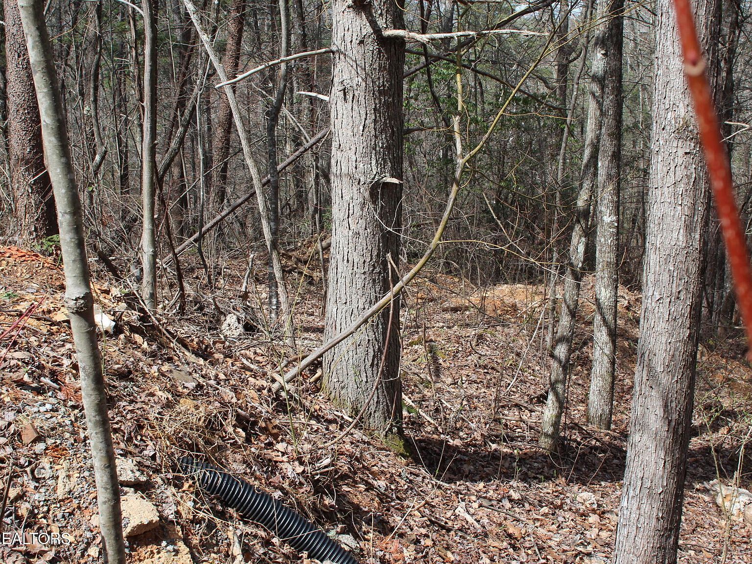 Ridgefield Dr Sevierville, TN 37876 | Land/Lot