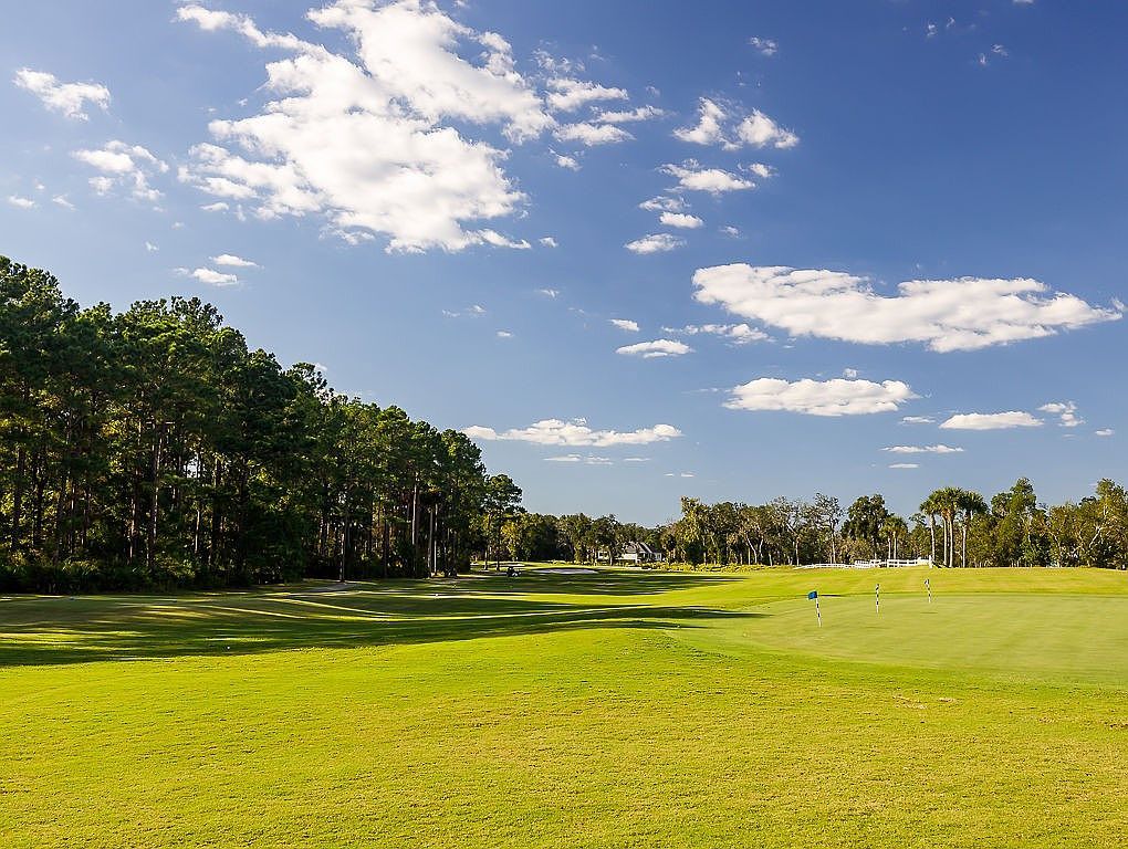 5 Blue Heron Trl Waverly, GA 31565 | Land/Lot