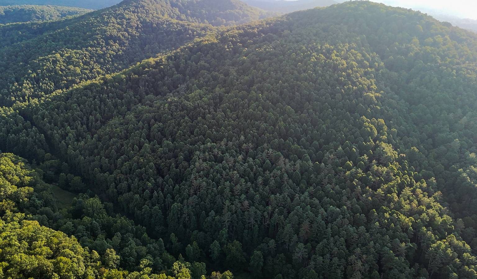 2283 Coon Creek Rd Gassaway, WV 26624  | Land/Lot