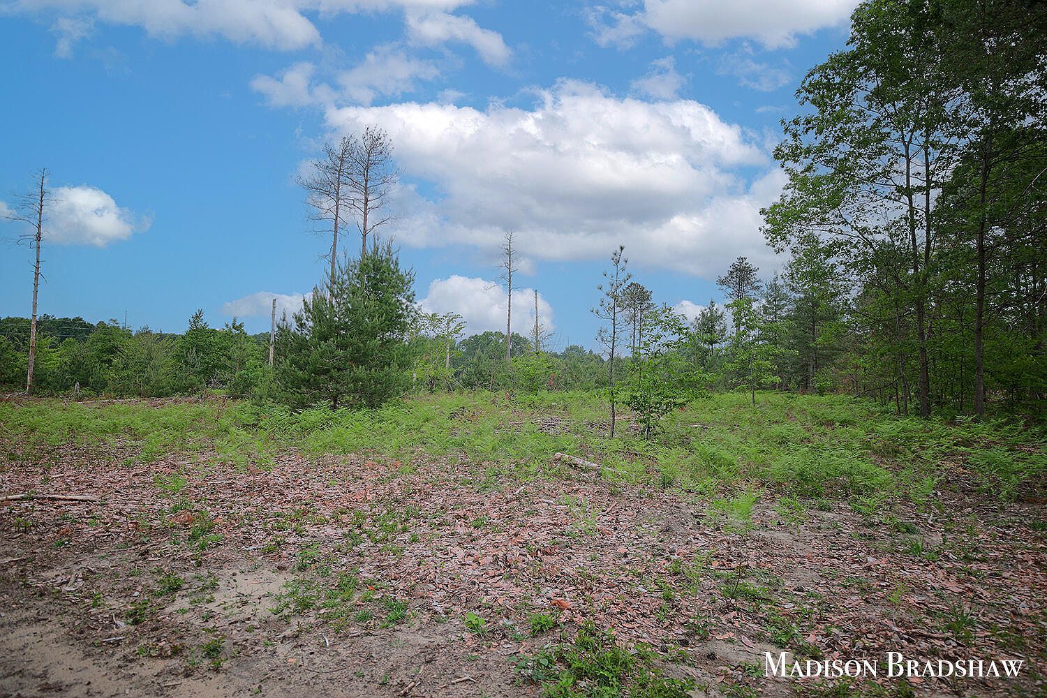 V/l S Sheridan Dr Muskegon, MI 49444  | Land/Lot