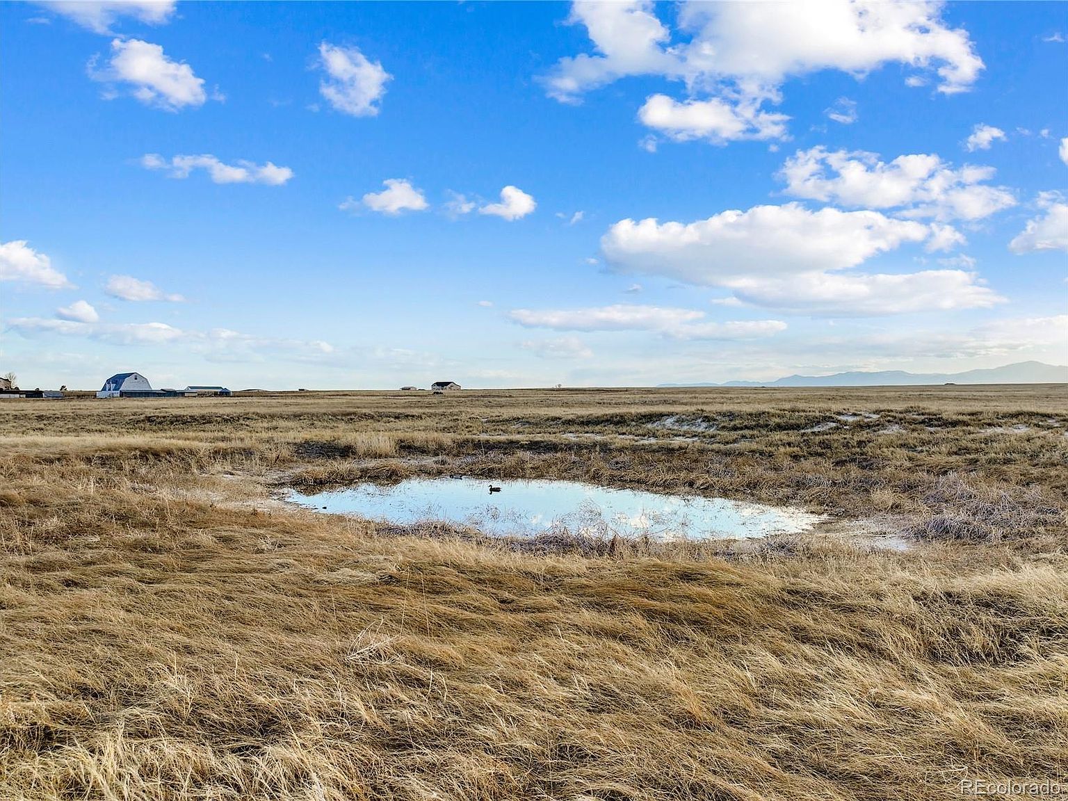 7950 N Peyton Hwy Peyton, CO 80831  | Land/Lot