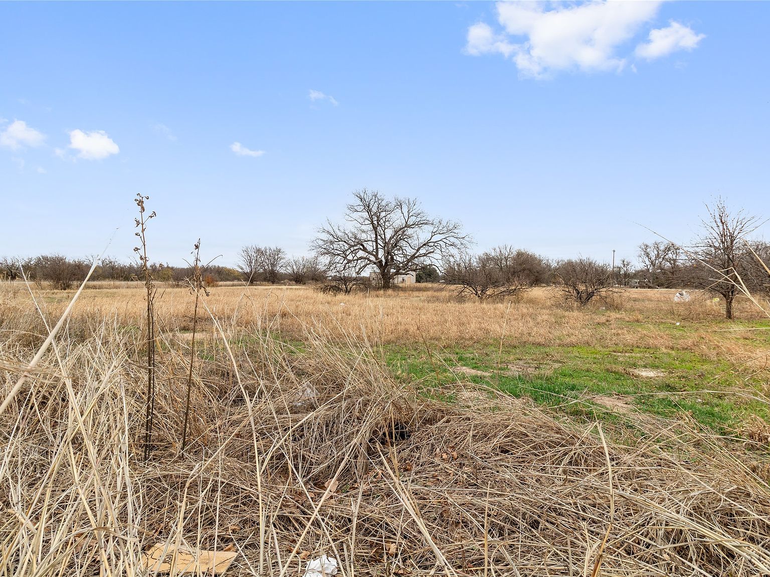 24ACRE S Highway 84 Byp Coleman, TX 76834  | Land/Lot