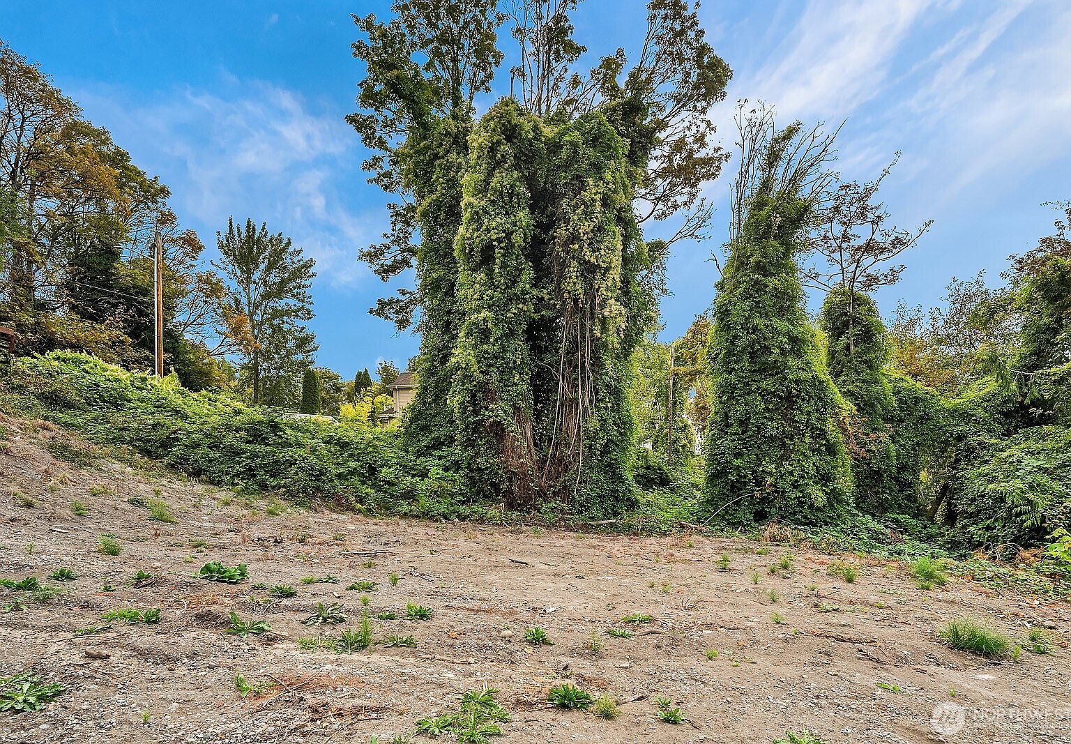 23 12th Ave S Seattle, WA 98108  | Land/Lot