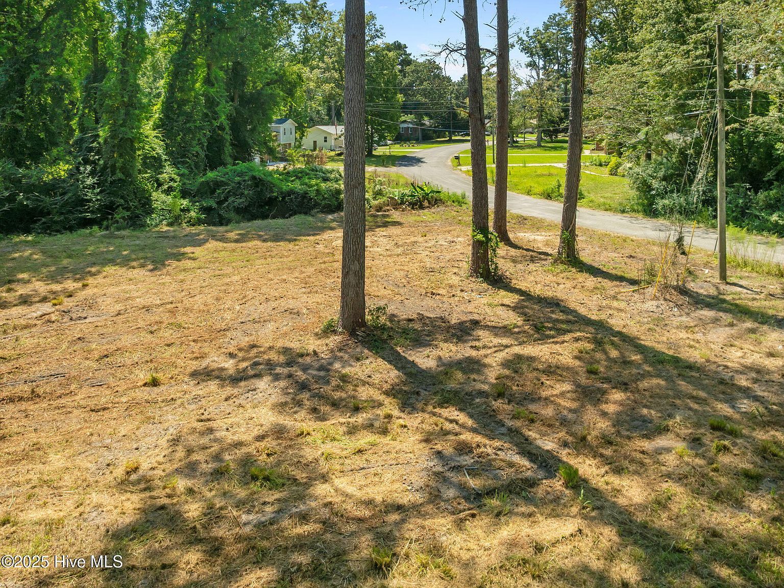 124 Jupiter Trl Jacksonville, NC 28546  | Land/Lot