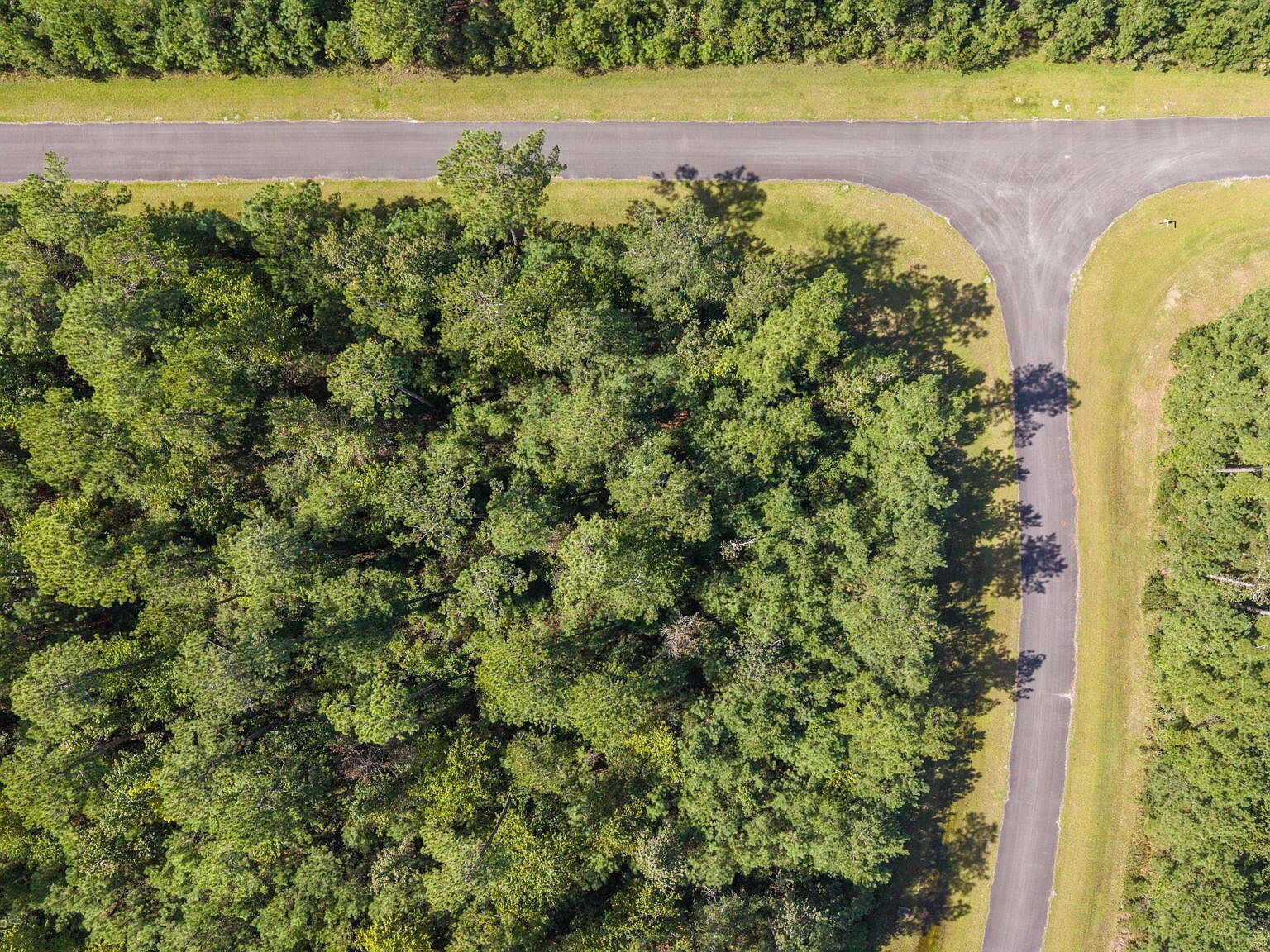 26 Mason Ln Merritt, NC 28556  | Land/Lot
