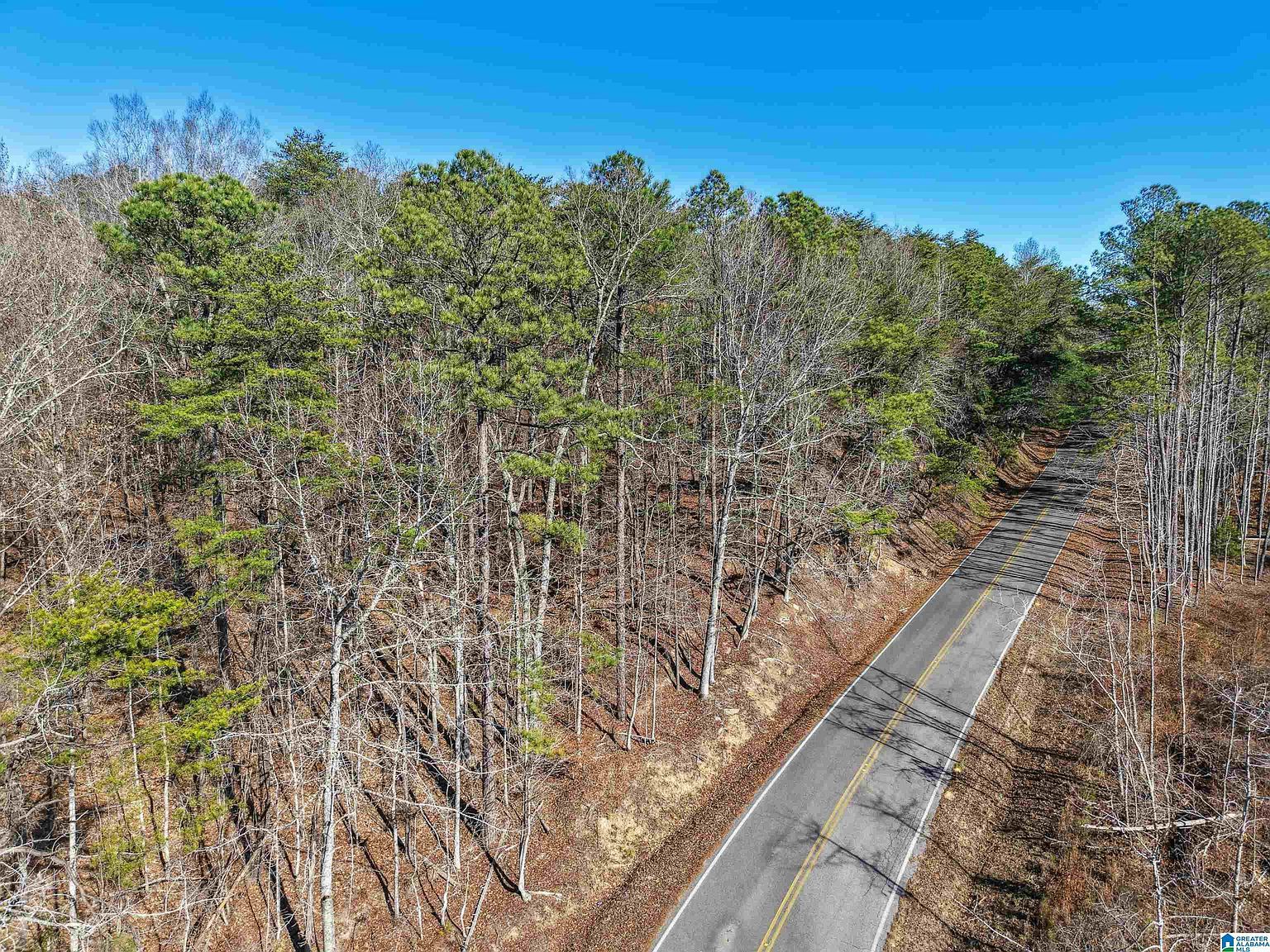 15065 Lock 17 Rd #1 Adger, AL 35006  | Land/Lot