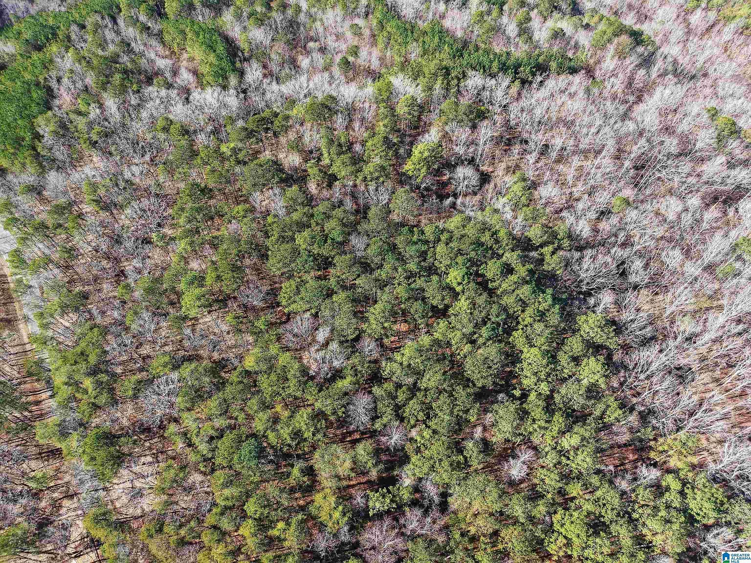 15045 Lock 17 Rd #1 Adger, AL 35006  | Land/Lot