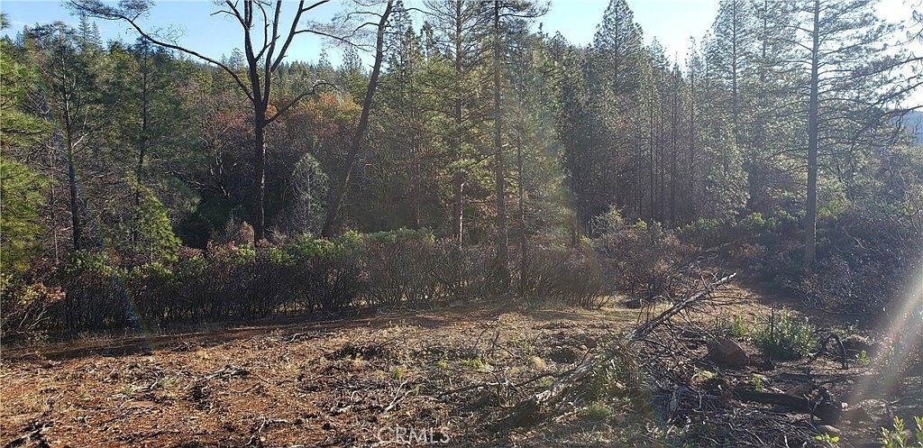 0 Lumberjack Ln Oroville, CA 95965 | Land/Lot