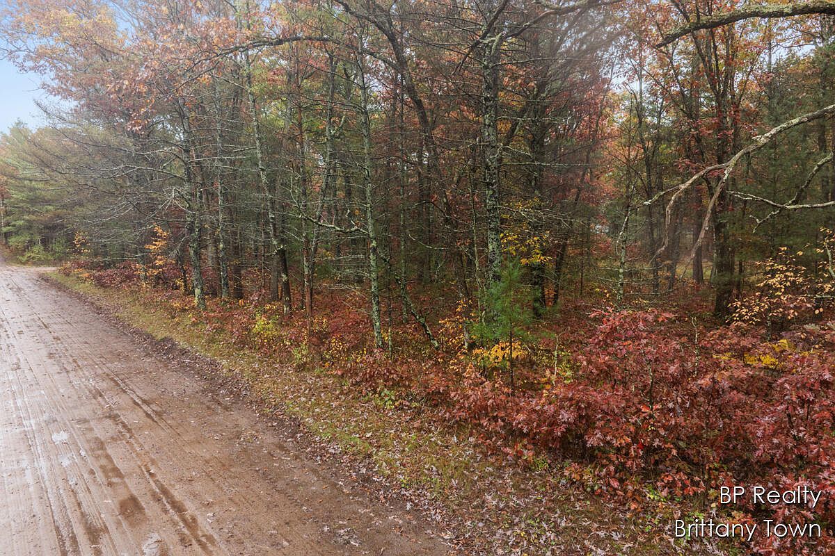 1305 E Henry St Idlewild, MI 49642  | Land/Lot