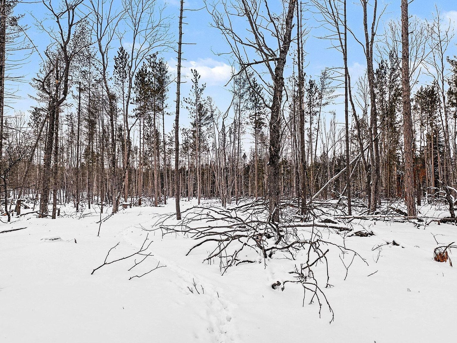 0 Vl N Lake City, MI 49651 | Land/Lot