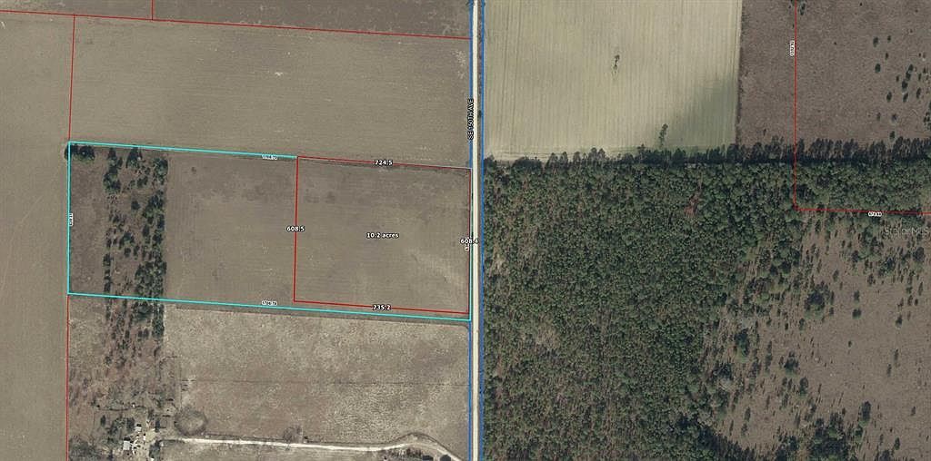 150 Southeast Ave Morriston, FL 32668  | Land/Lot