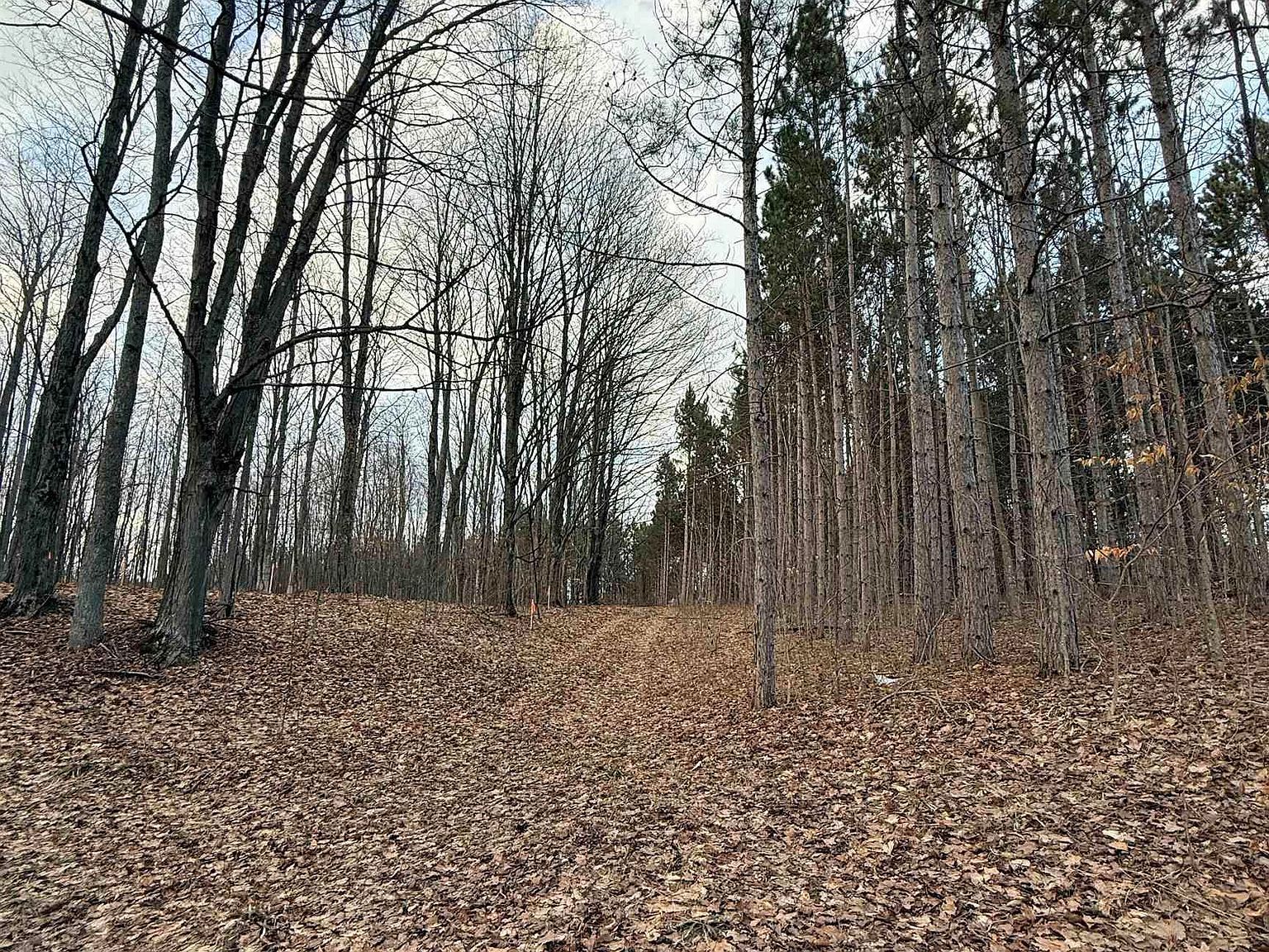 1208 S Ridge Ct Traverse City, MI 49696  | Land/Lot