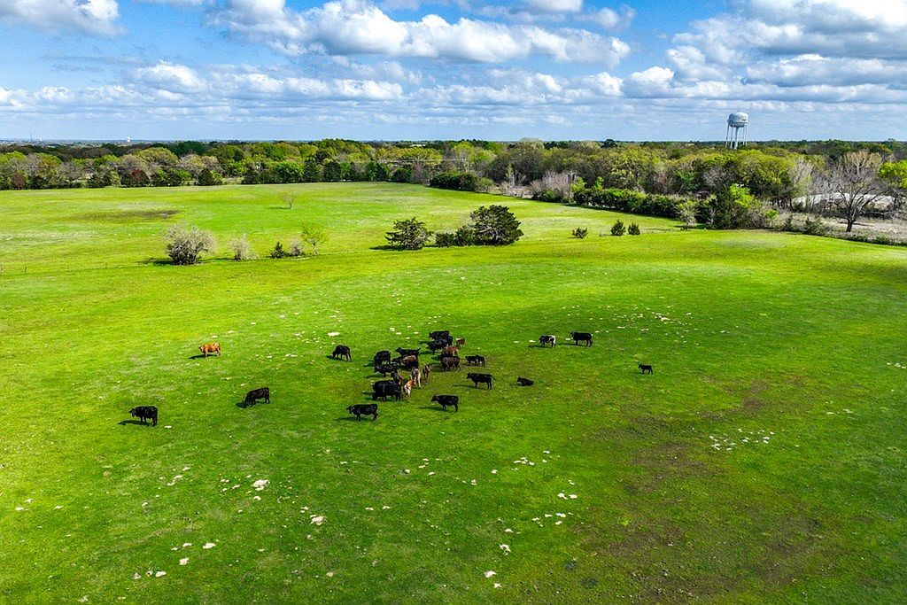 0 Hwy 274 Kemp, TX 75143  | Land/Lot