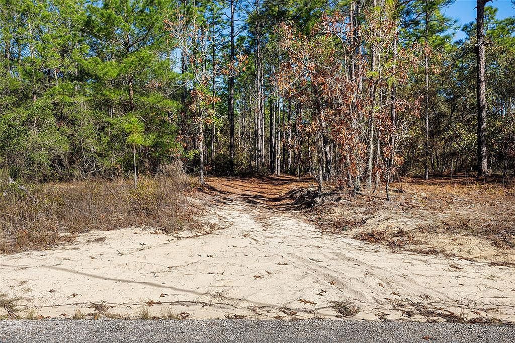 8941 N Farrington Dr Citrus Springs, FL 34433 | Land/Lot