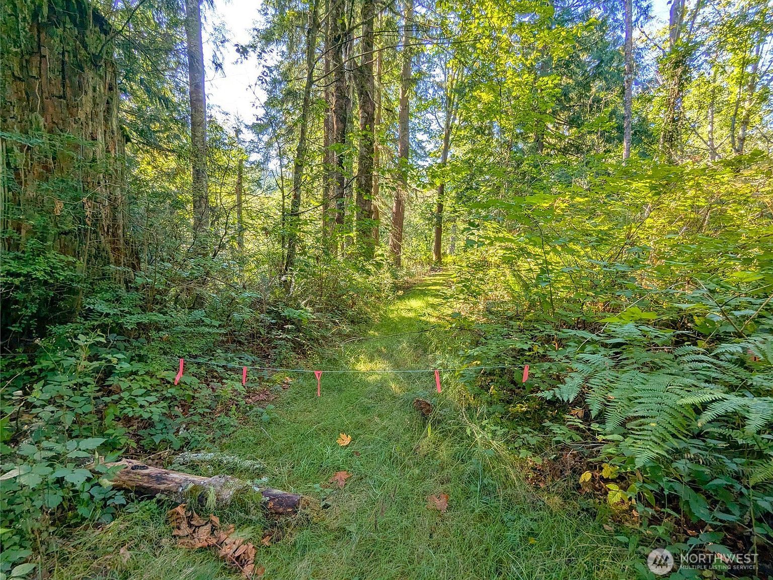 1110 350th Ave SE Snoqualmie, WA 98065  | Land/Lot