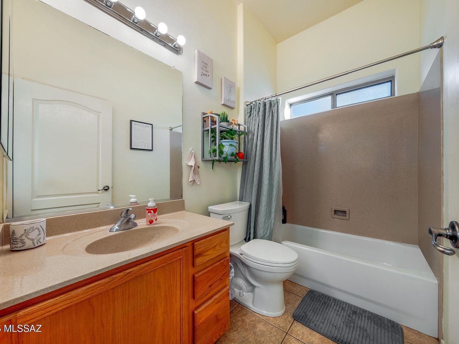 10467 S Drifter Ranch Pl Vail, AZ 85641 | Single Family