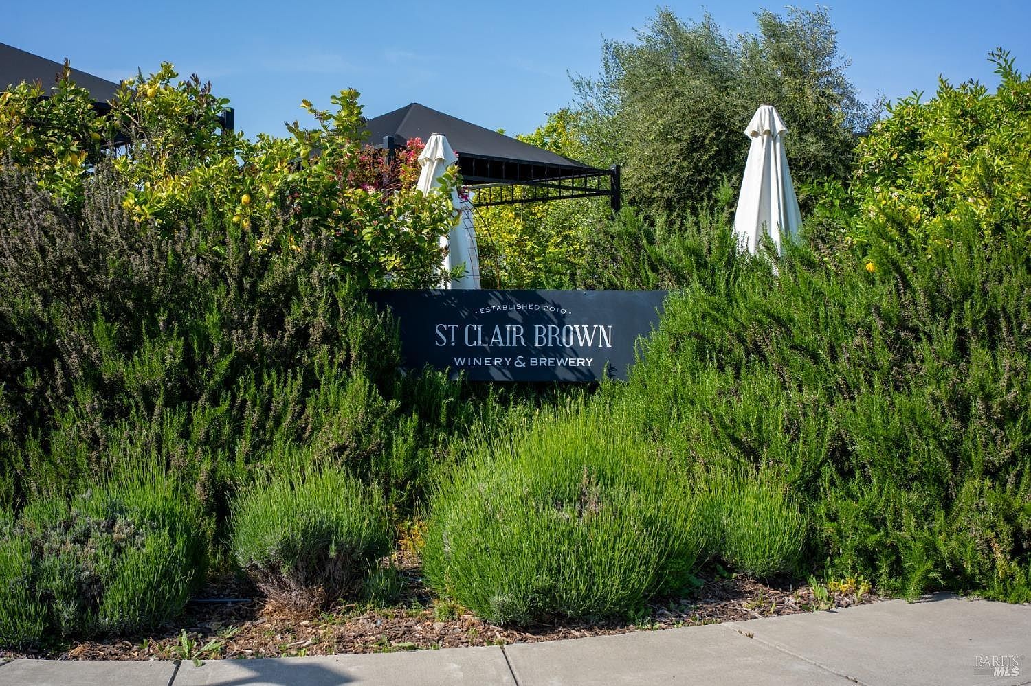 903 Vallejo St Napa, CA 94559 | Land/Lot