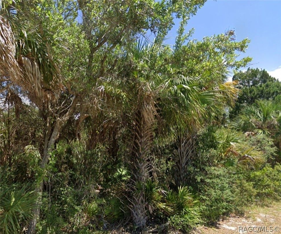 11561 W Dixie Shores Dr Crystal River, FL 34429  | Land/Lot