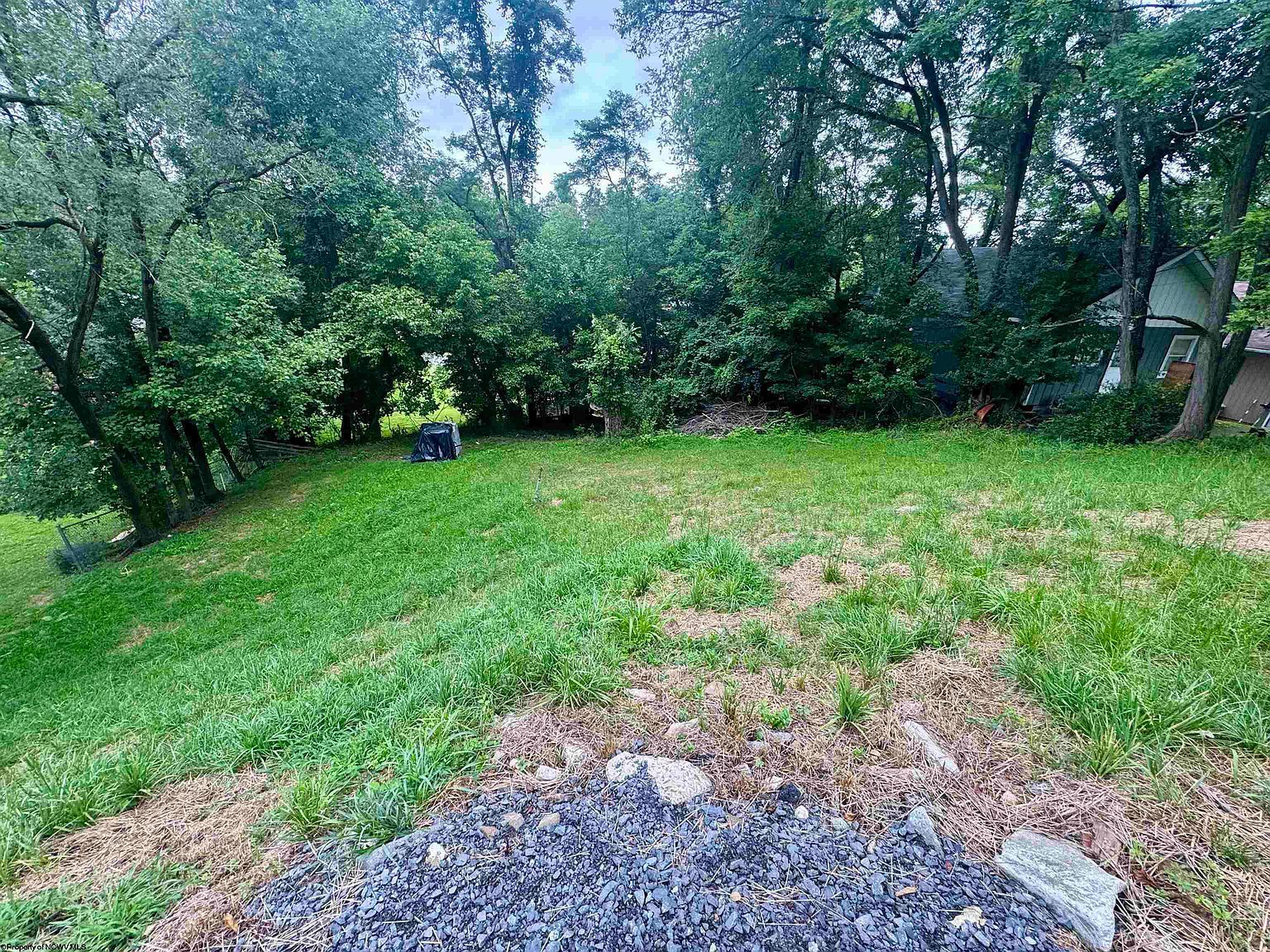 60 Cleveland Ave Morgantown, WV 26501 | Land/Lot