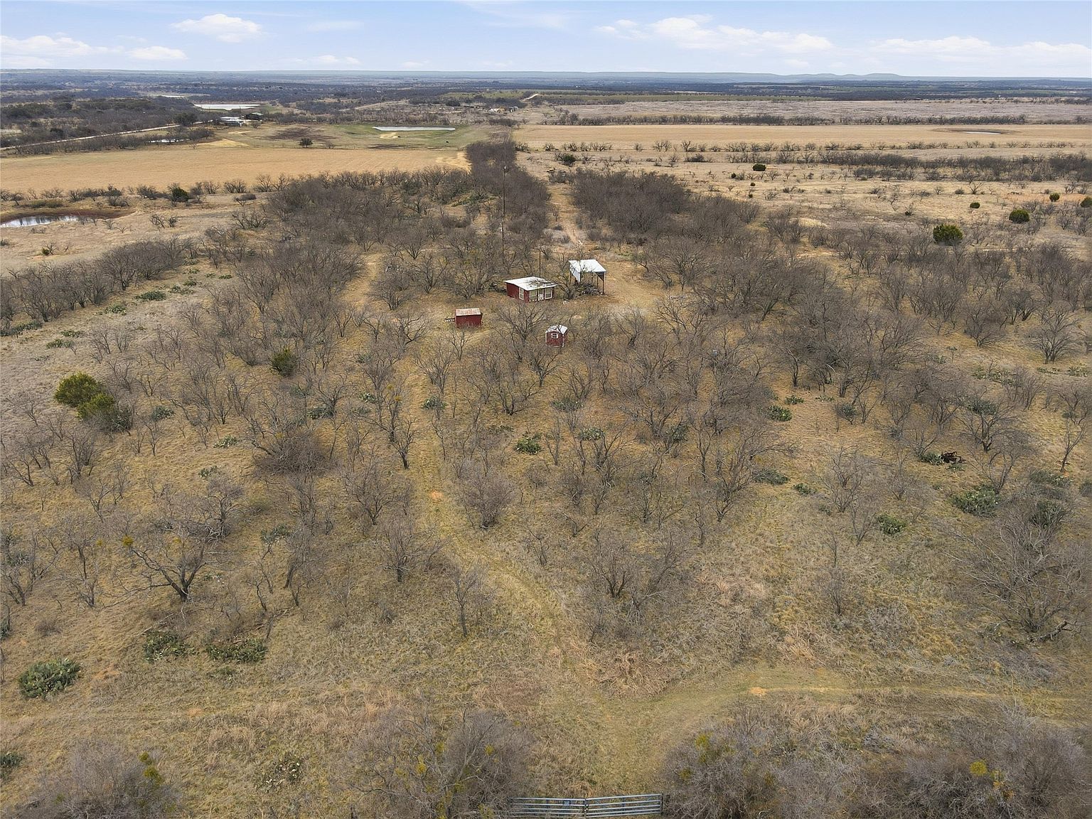 438 County Road 486 Novice, TX 79538  | Land/Lot