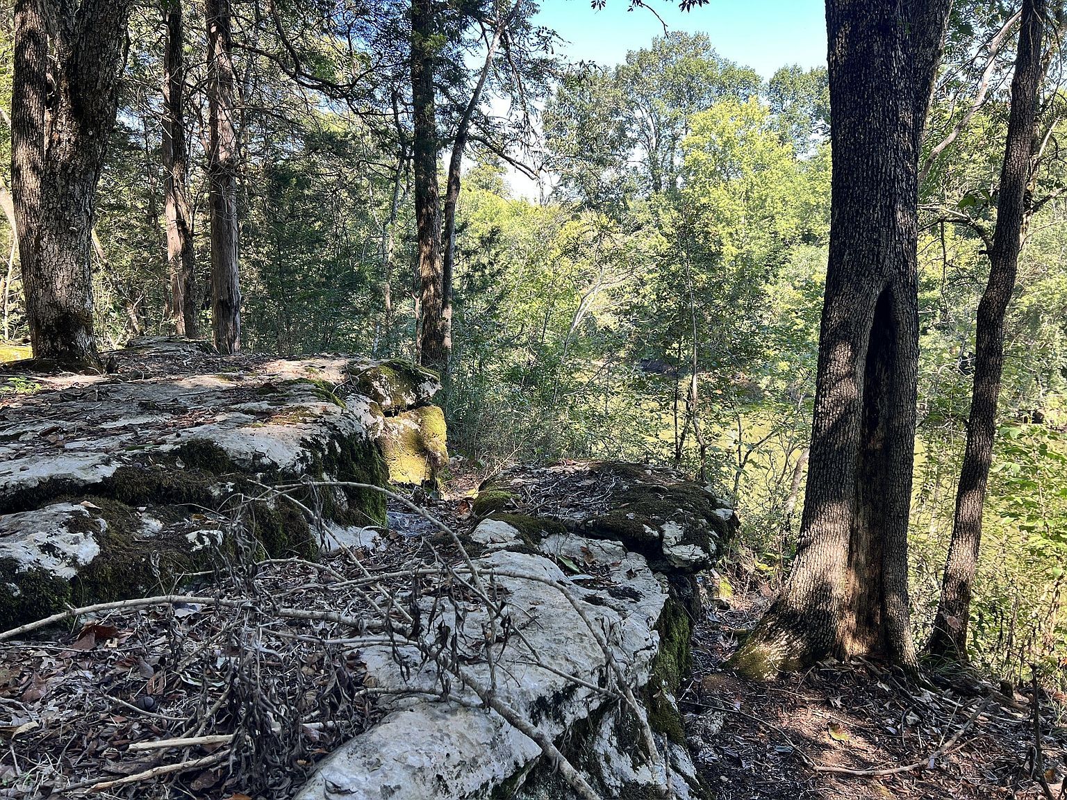 3680 Clark Rd Lewisburg, TN 37091  | New build