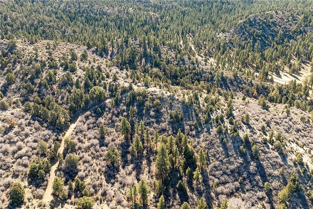 1110 Central Ln Big Bear City, CA 92314  | Land/Lot