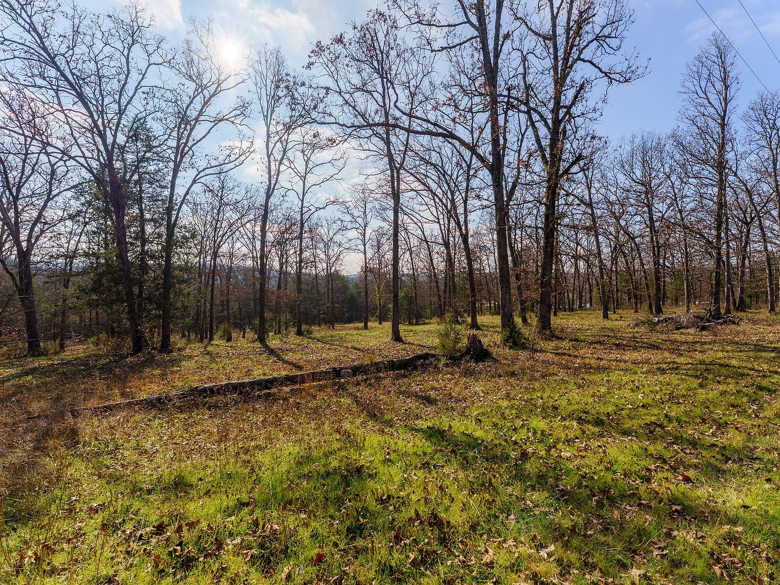 0 Century Ln Lampe, MO 65681  | Land/Lot