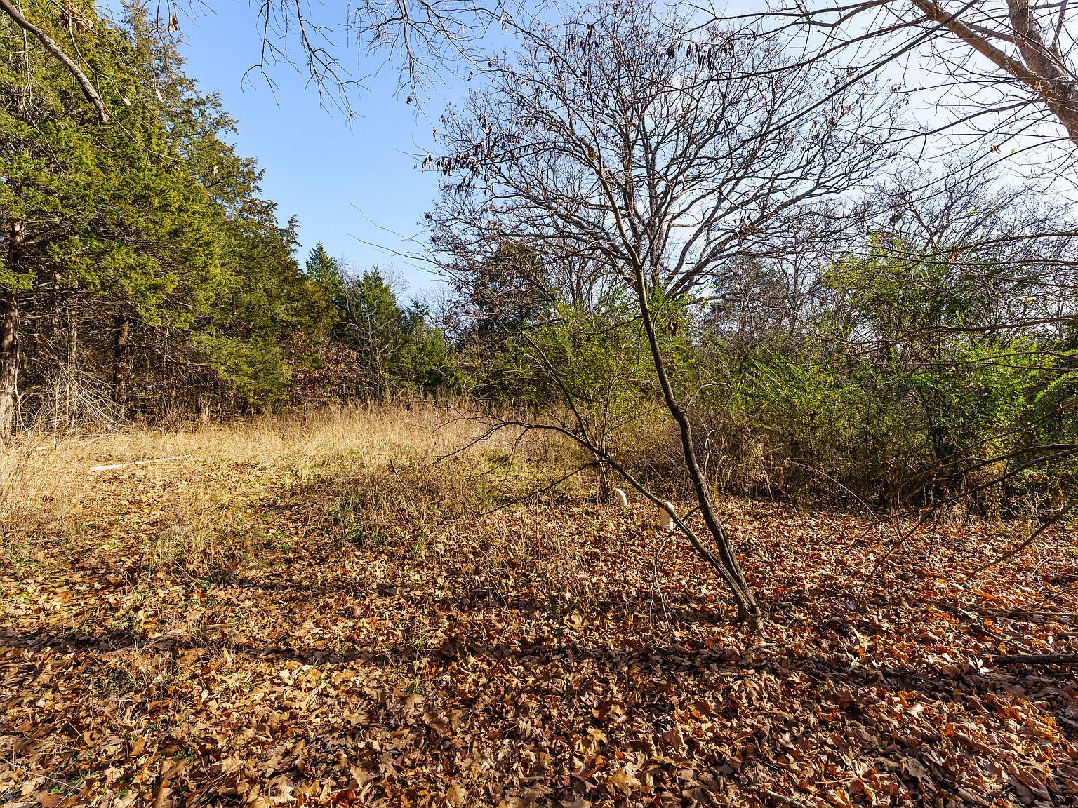 0 Boulder Dr Lampe, MO 65681  | Land/Lot