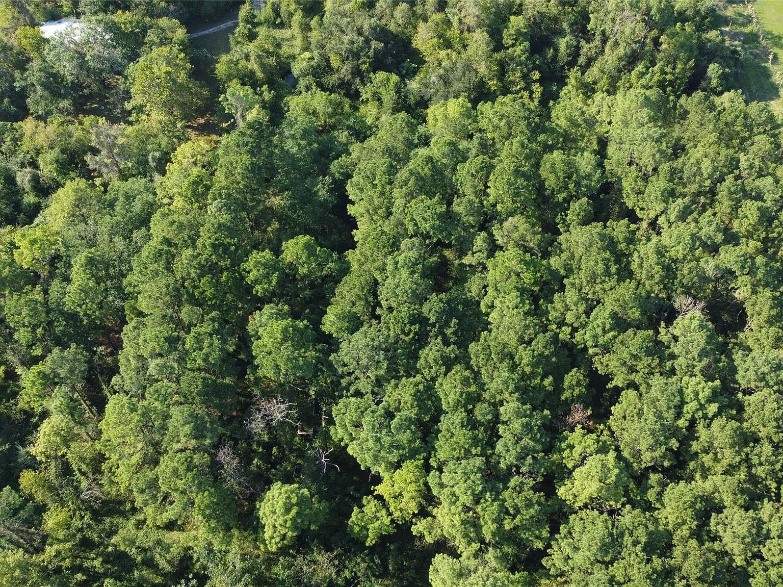 4925 County Road 435 Alvin, TX 77511  | Land/Lot