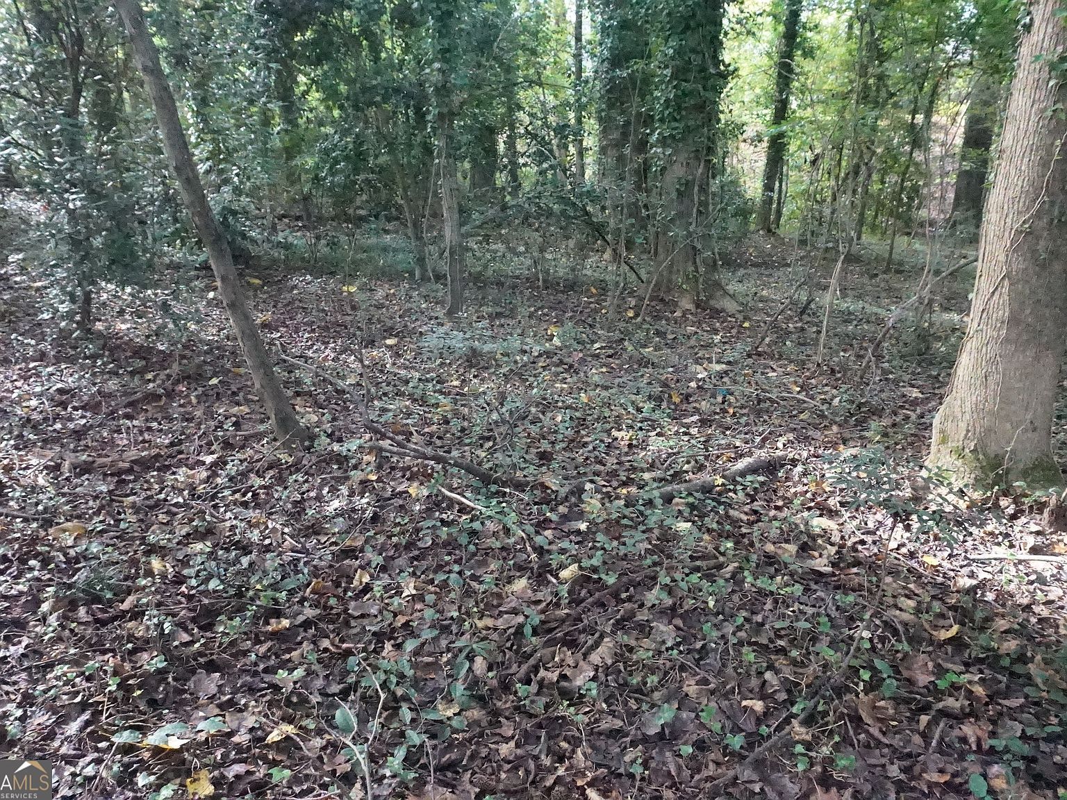 6 Pine Valley Dr Royston, GA 30662  | Land/Lot