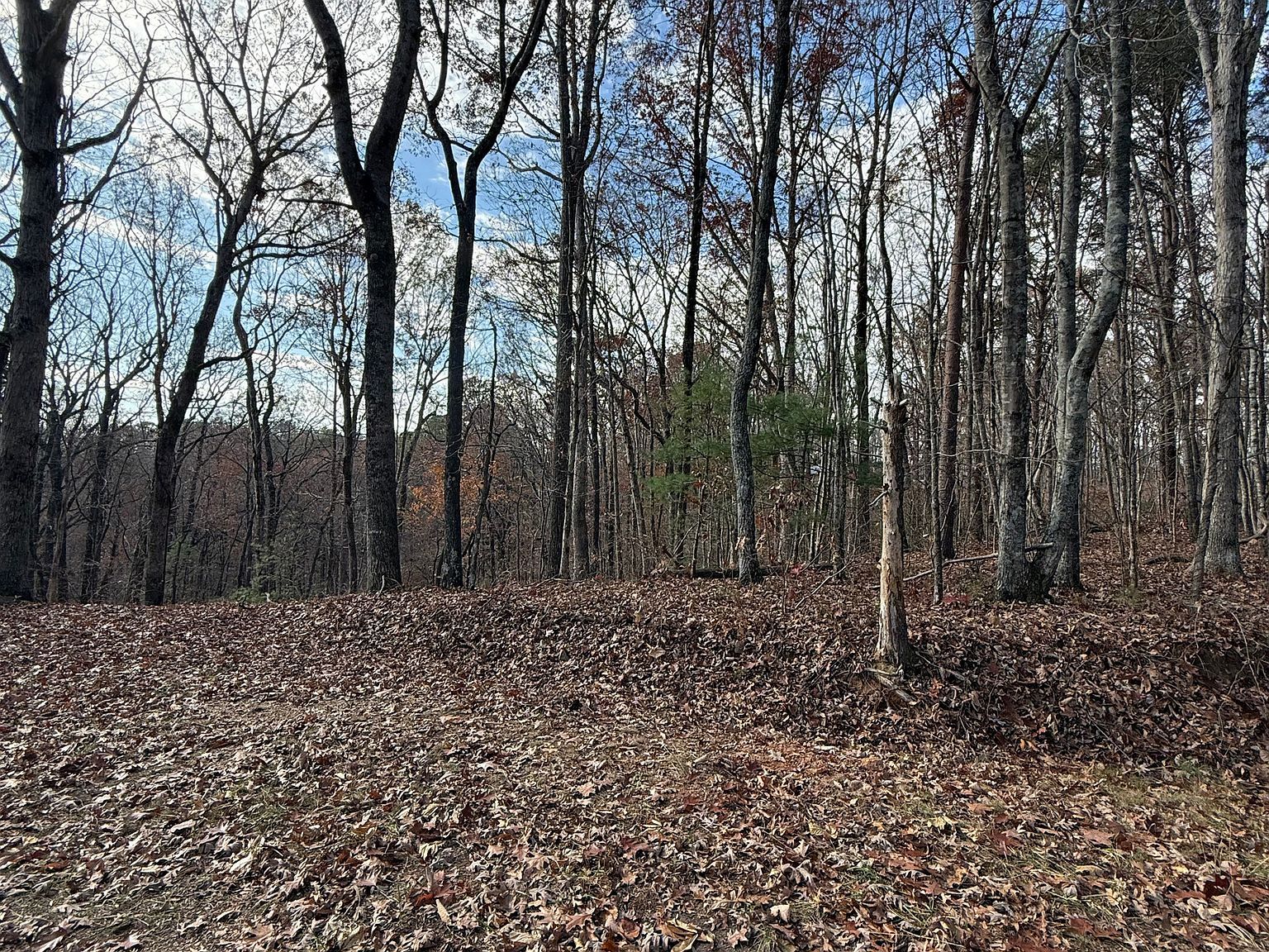 0 Orchard Rd Jasper, GA 30143  | Land/Lot