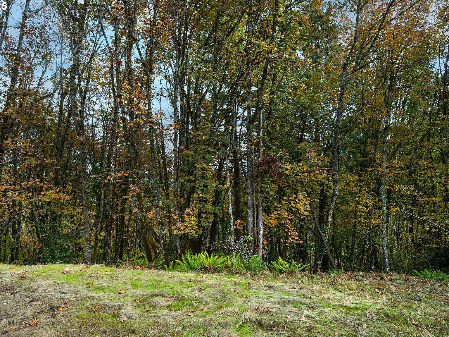 2825-2819 Capital Dr #18-19 Eugene, OR 97403 | Land/Lot