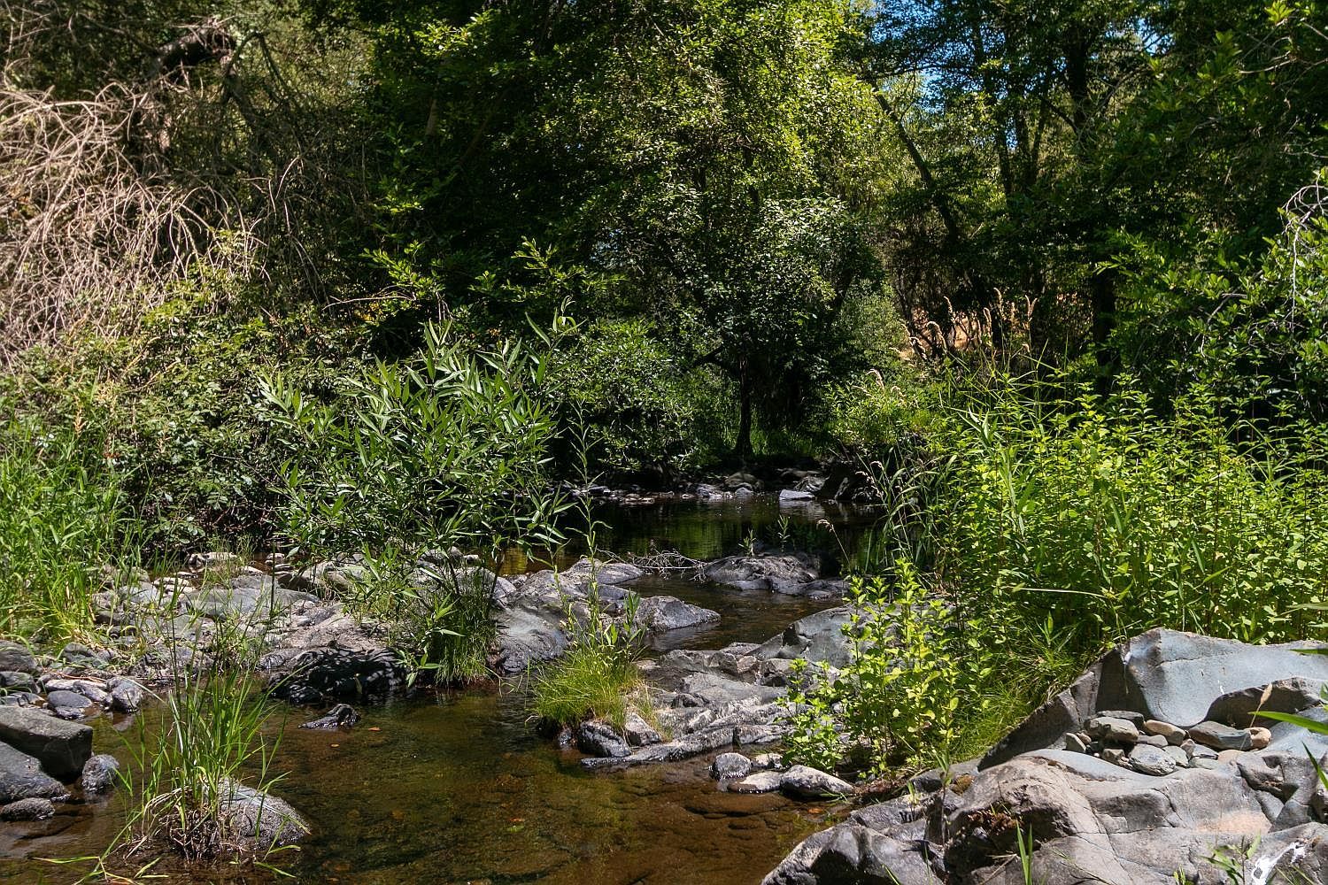 Stony Creek Rd Jackson, CA 95642 | Land/Lot