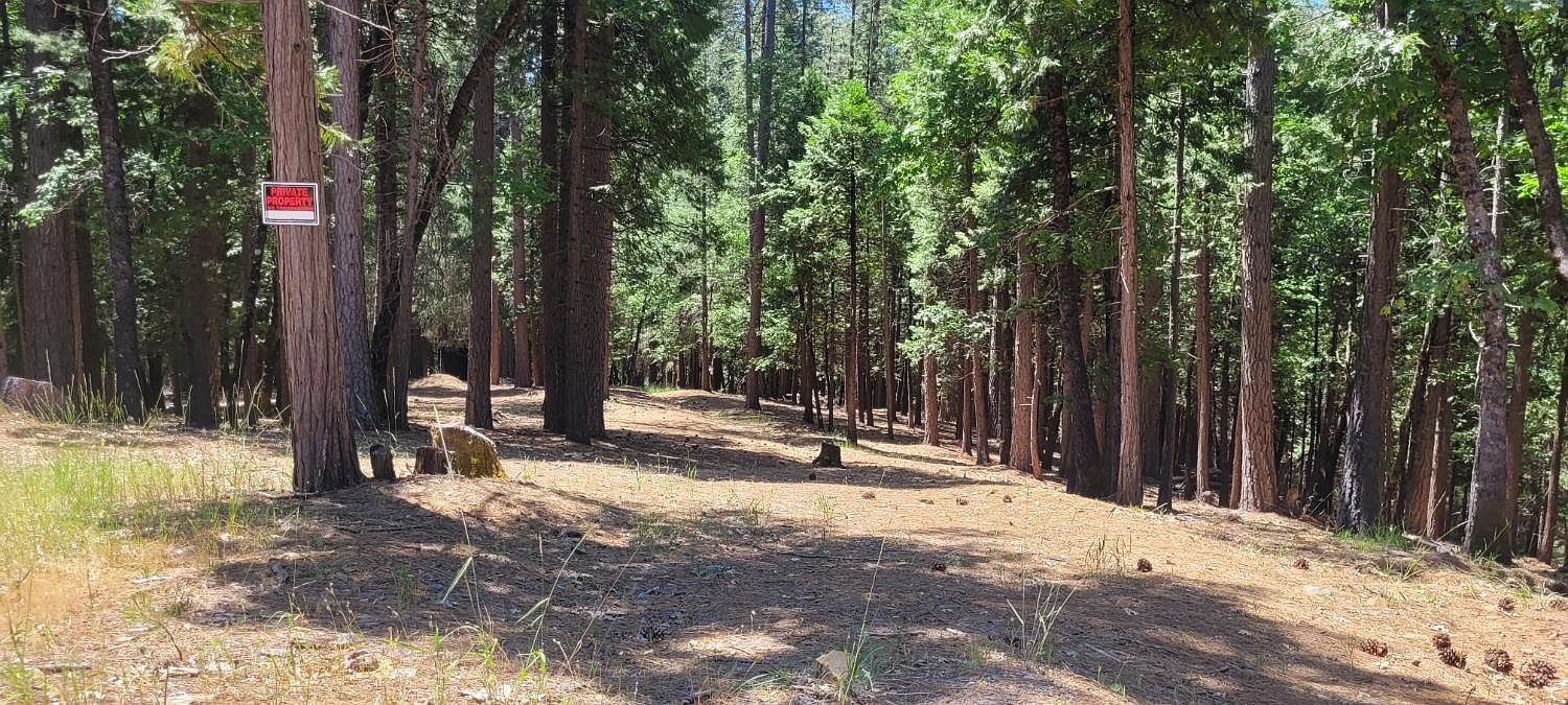 4790 Sierra Springs Dr Pollock Pines, CA 95726  | Land/Lot