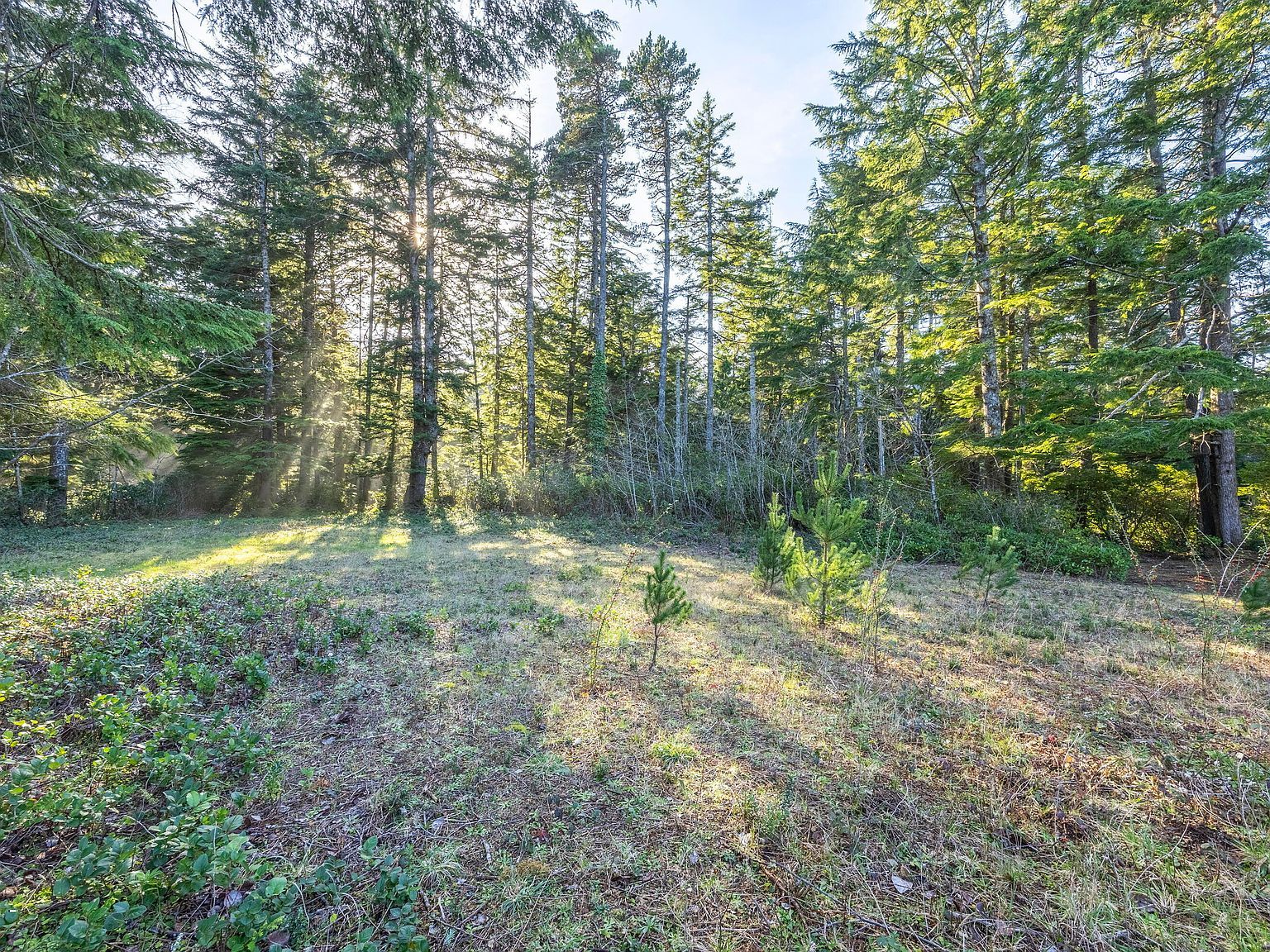 Tl 700 Mahala Ct Otter Rock, OR 97369 | Land/Lot
