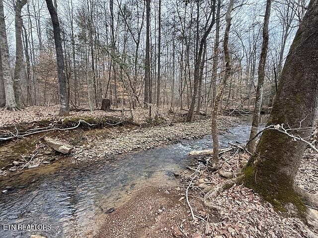 1446 Cove Ln Oliver Springs, TN 37840  | Land/Lot