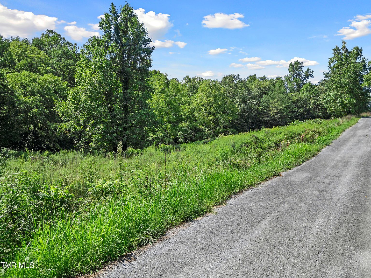 Cecil Davis Rd Greeneville, TN 37743 | Land/Lot
