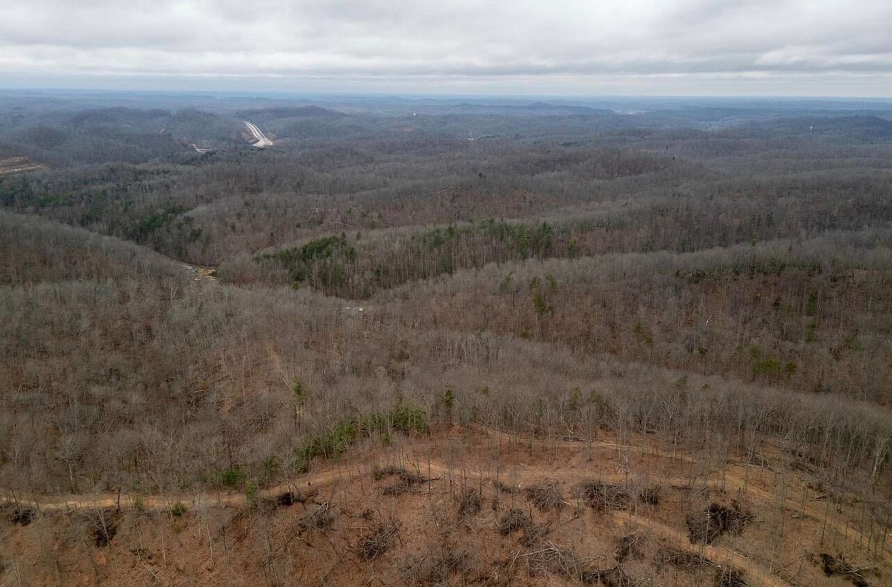 0 Camp Branch Rd Hazel Green, KY 41332  | Land/Lot