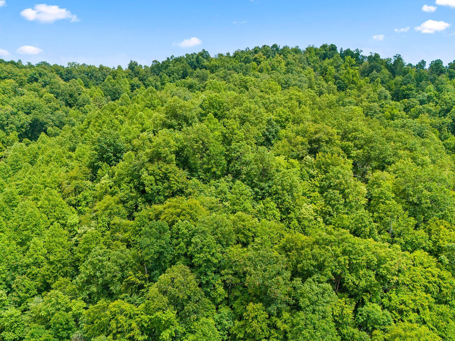 1235 Greenbrier Branch Rd Campton, KY 41301 | Single Family