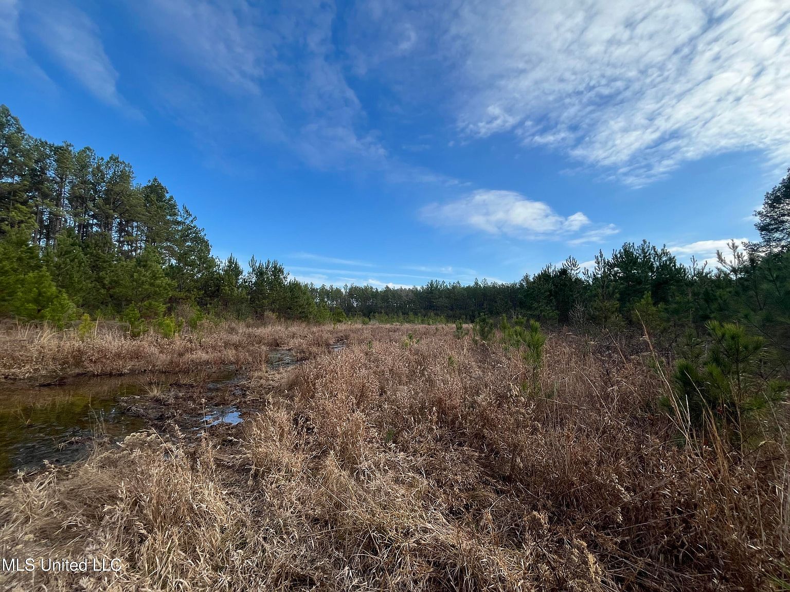 40 Acres Dr Perkinston, MS 39573  | Land/Lot