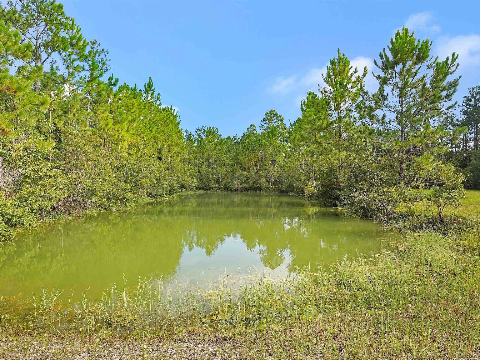 10665 Baylor Ave Hastings, FL 32145 | Land/Lot